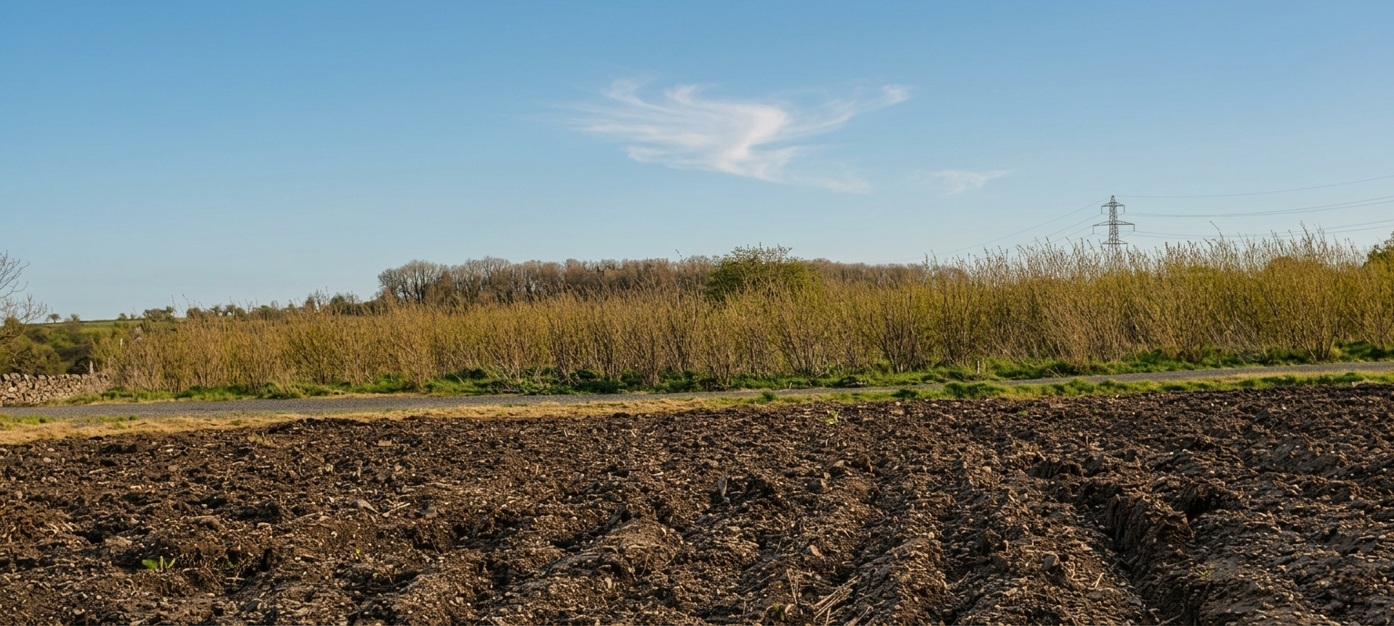 an image of a ploughed field with native trees in the background